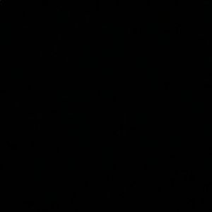 Meet your Posher, Charles